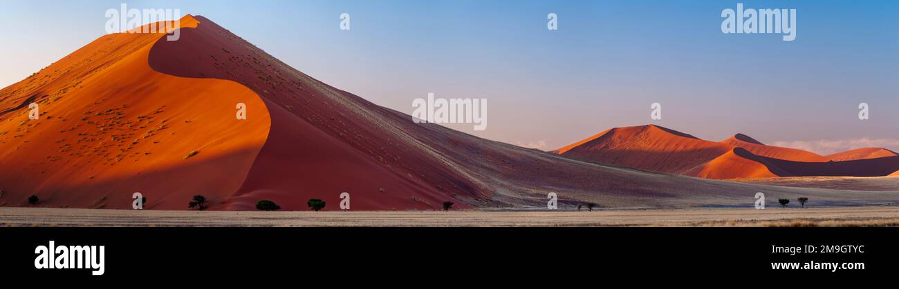 Dunes de sable dans le désert au coucher du soleil, parc Namib Naukluft, Namibie Banque D'Images