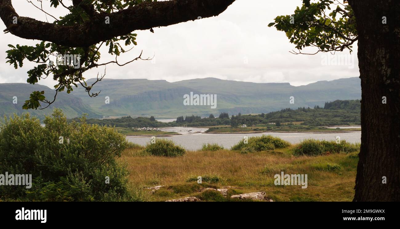 Vue de EAS Fors vers le son d'Ulva et Loch Na Keal avec des arbres dans la forground et les petites îles, Mull, Ecosse Royaume-Uni Banque D'Images