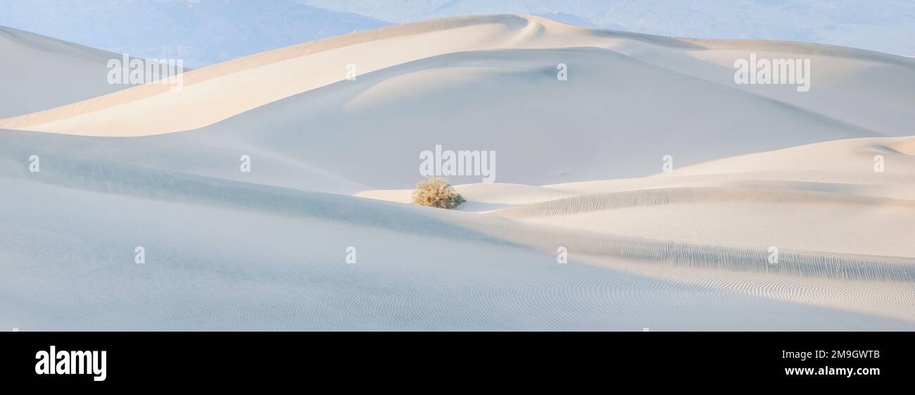 Mesquite Flats Dunes, parc national de la Vallée de la mort, Californie, États-Unis Banque D'Images