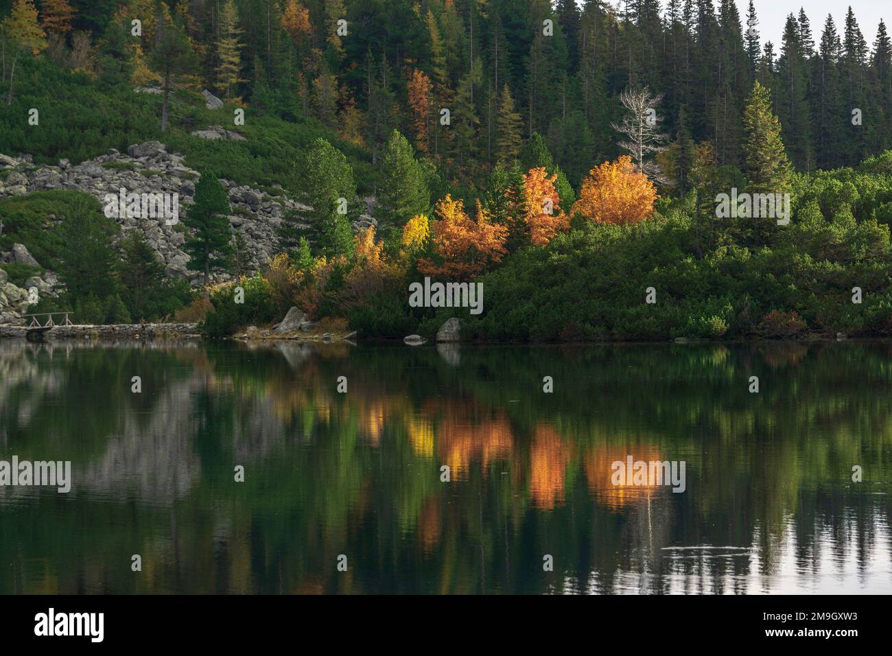 Popradske Pleso beau lac de montagne en Slovaquie en automne. Banque D'Images