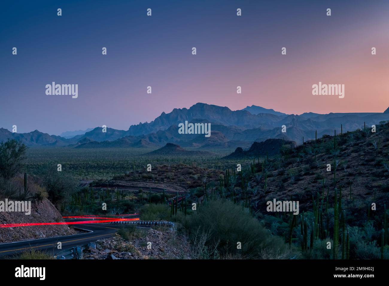 Paysage avec désert et route au coucher du soleil, Baja California sur, Mexique Banque D'Images