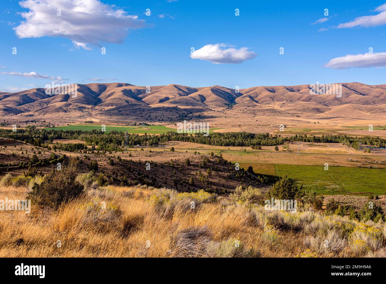 Paysage avec chaîne de montagnes, Tygh Valley, Oregon, États-Unis Banque D'Images