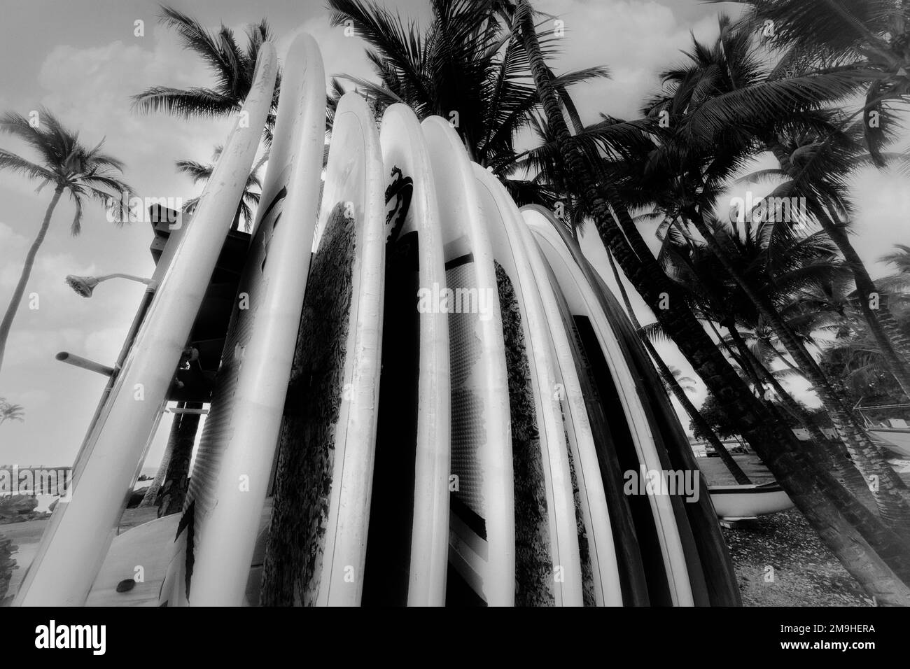 Planches de surf sur la plage. La grande île d'Hawaï Banque D'Images