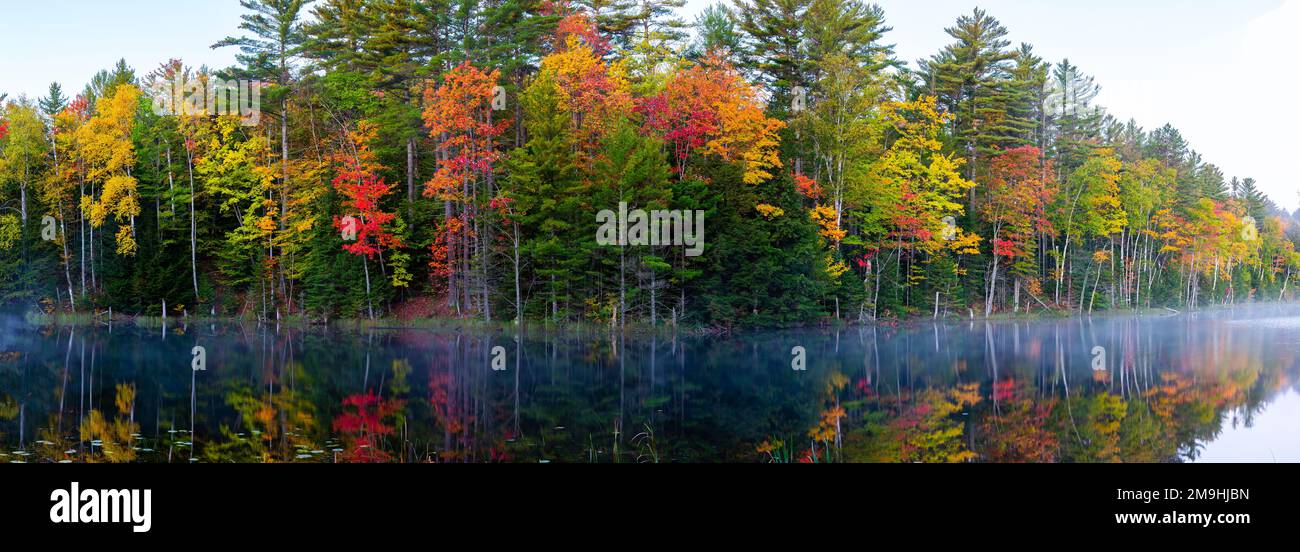 Forêt sur les rives du lac Council en automne, comté d'Alger, Michigan, États-Unis Banque D'Images