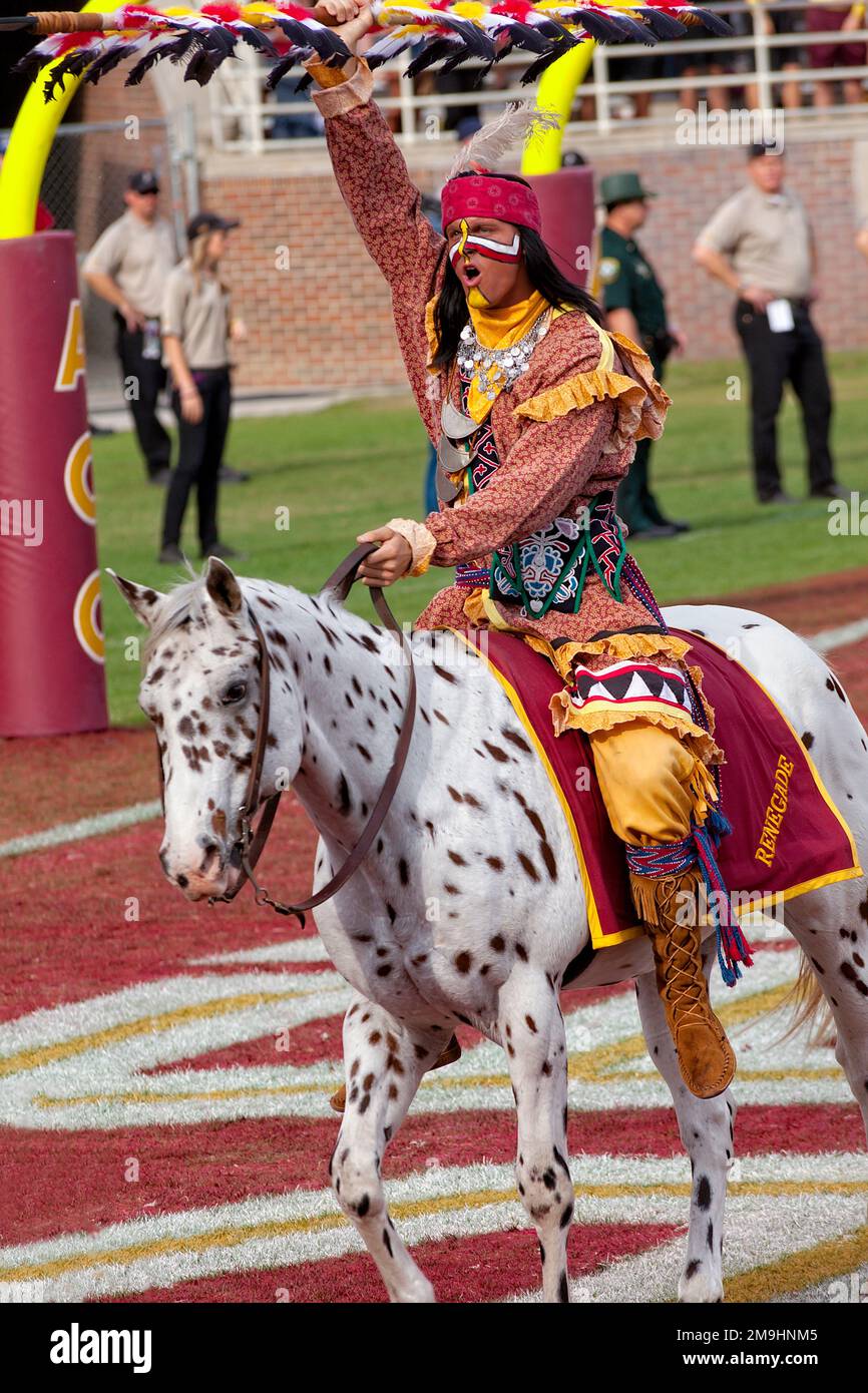 Tallahassee, Floride - 23 novembre 2013: La mascotte de l'Université d'État de Floride, chef Osceola, à cheval sur un appaloosa nommé Renegade à un match à domicile. Banque D'Images