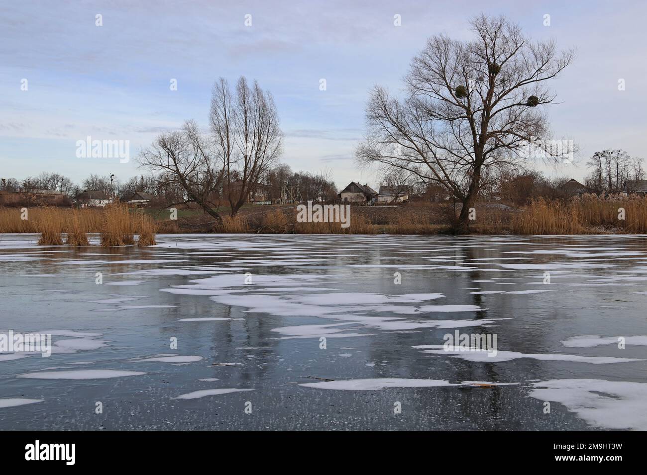 Lac gelé. Réflexion des roseaux et des arbres. Neige sur la glace. Banque D'Images