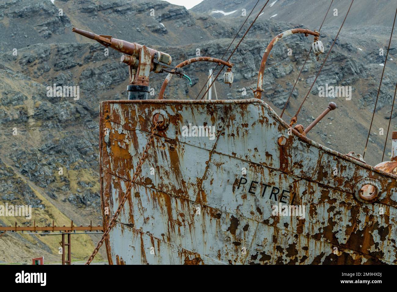 Le bateau de chasse à la baleine pétrel, avec un harpon sur l'arc, se trouve à la station de chasse à la baleine norvégienne abandonnée de Grytviken, sur l'île de Géorgie du Sud, sous-Antar Banque D'Images
