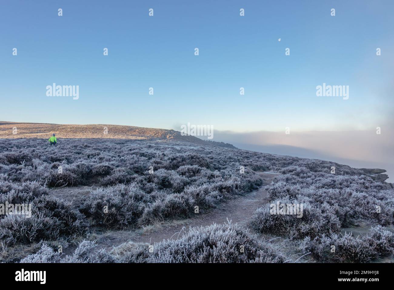 Briser le brouillard sur Ilkley Moor par temps froid avec un épais gel sur la bruyère. Un coureur est tombé courir sur Ilkley Moor avec la lune de la hauteur dedans Banque D'Images