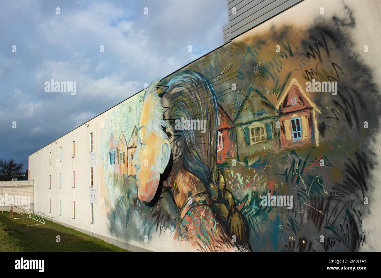 Murale moderne de deux pièces 18.01.2023 Bialystok Pologne. Le centre-ville et une murale avec une fille parmi la nature. Banque D'Images