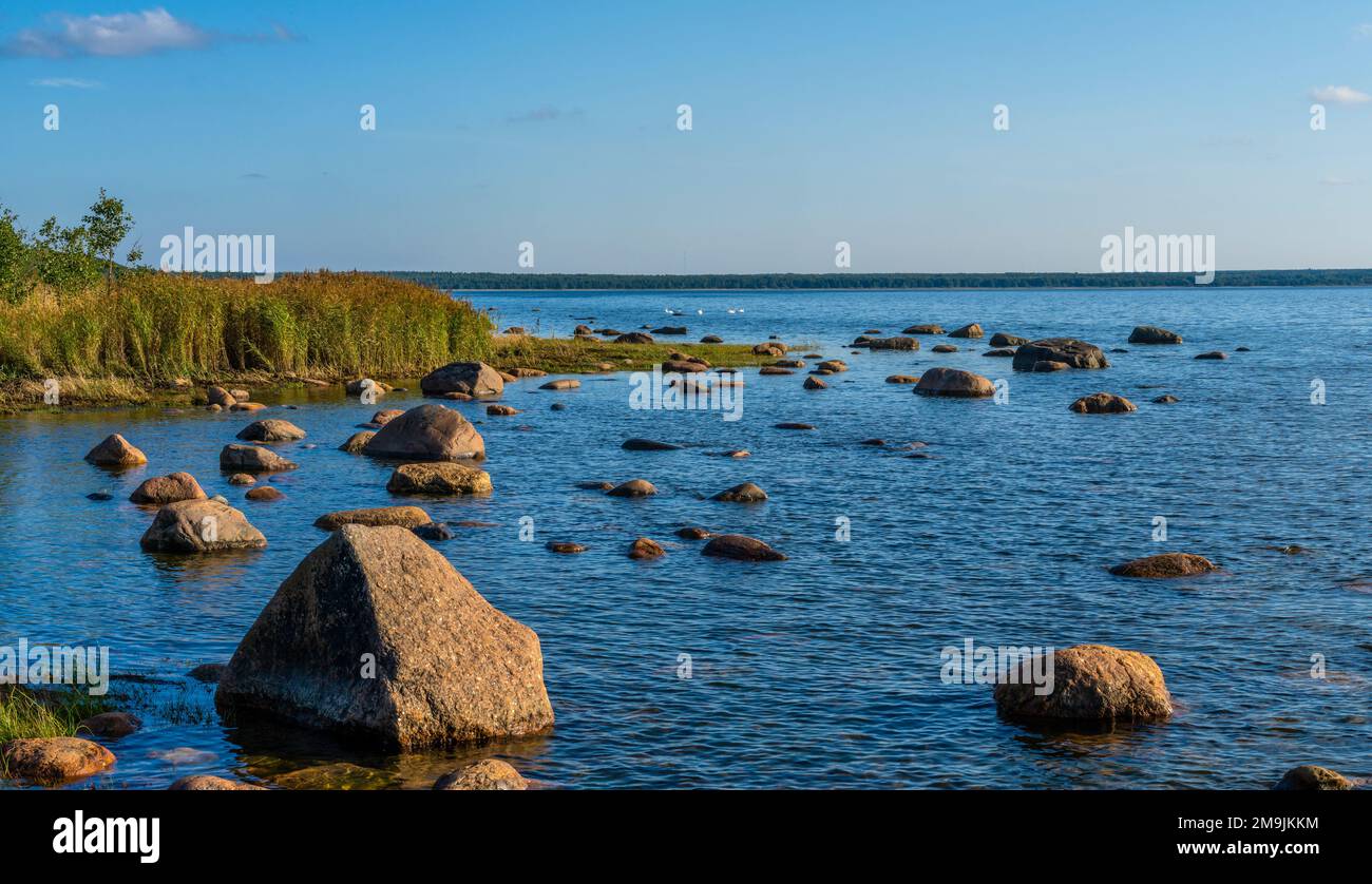 Rochers et pierres sur la côte, Neeme, Mer Baltique, Estonie Banque D'Images