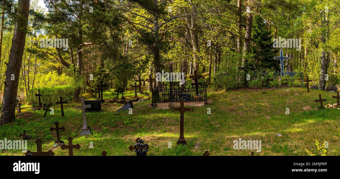 Tombes entre arbres, Estonie Banque D'Images