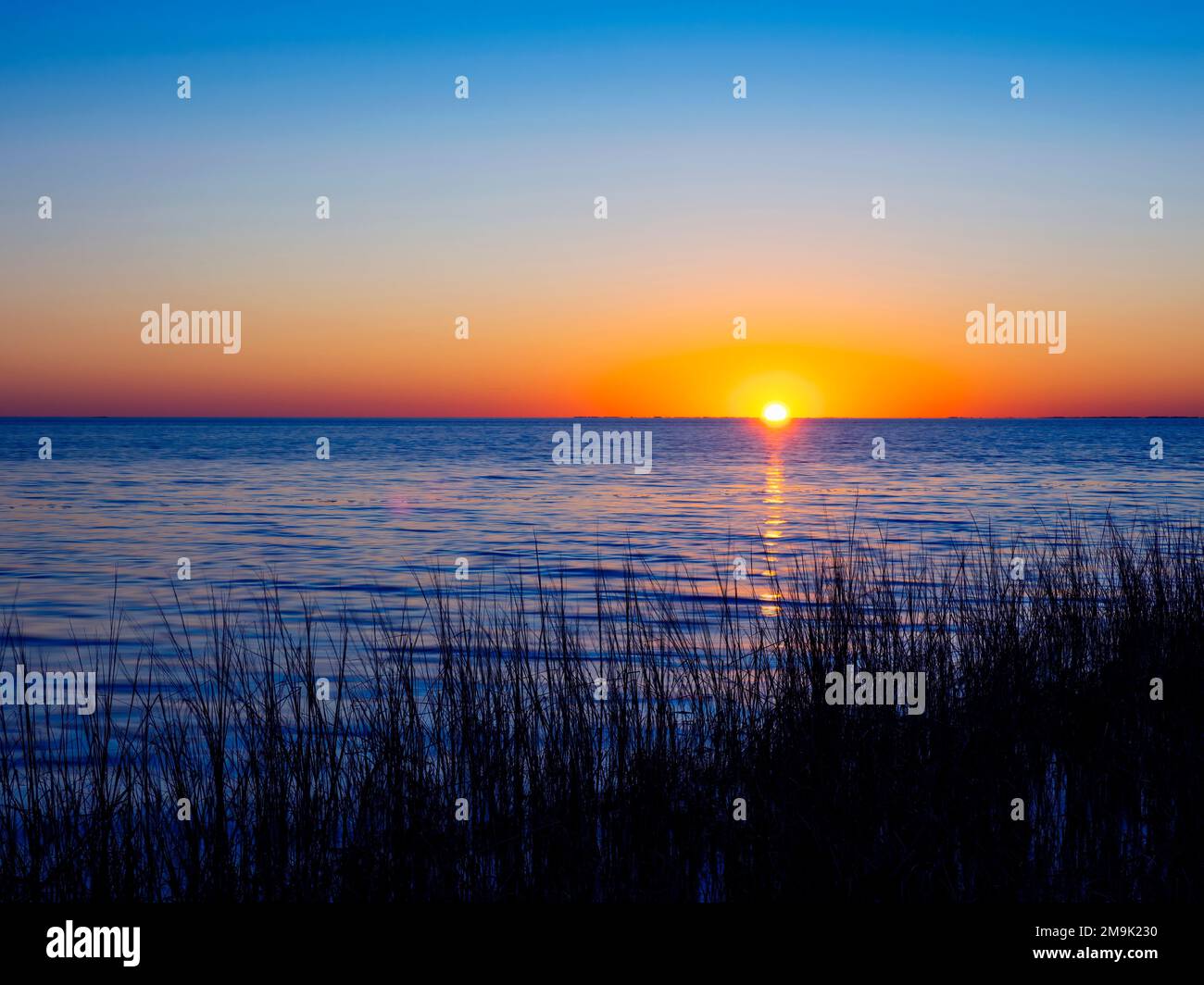 Coucher de soleil sur le golfe du Mexique à St. Réserve naturelle nationale de Marks, Floride, États-Unis Banque D'Images