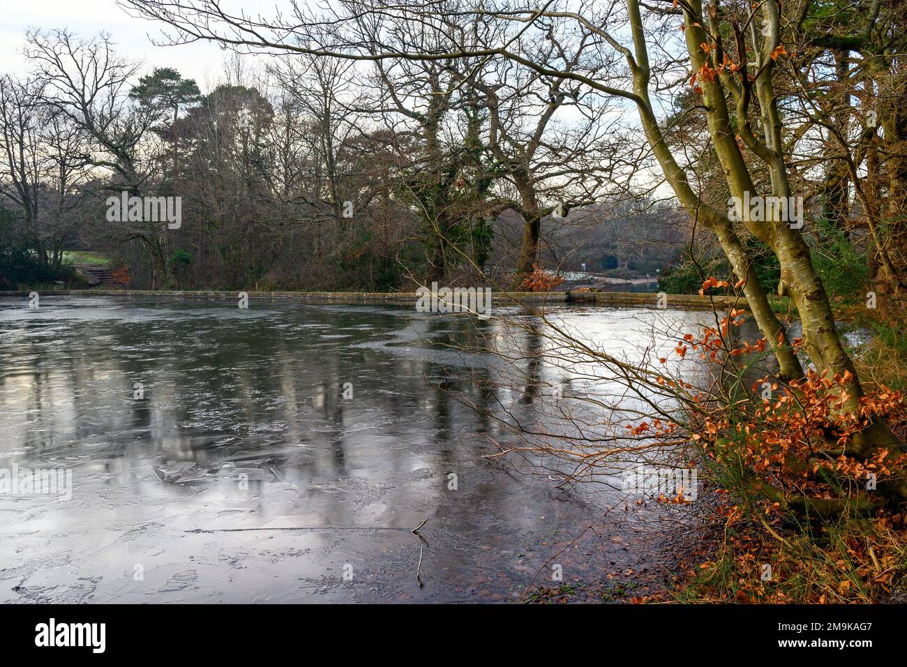 Un des étangs de Keston sur Keston Common près du village de Keston dans le Kent, Royaume-Uni. Une scène d'hiver froide avec de la glace à la surface de l'étang. Banque D'Images Un des étangs de Keston sur Keston Common près du village de Keston dans le Kent, Royaume-Uni. Une scène d'hiver froide avec de la glace à la surface de l'étang. Banque D'Images