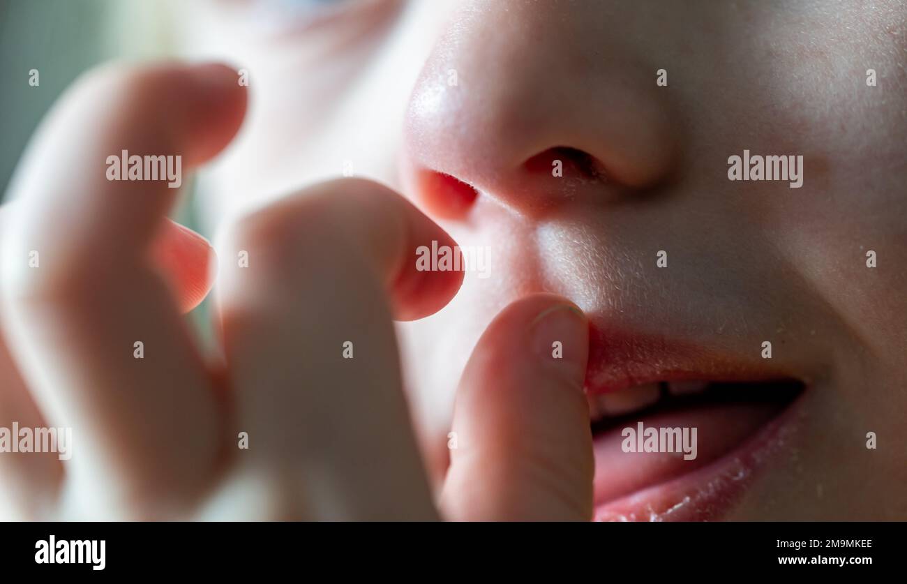 Attention sélective à un enfant caucasien cueillant son nez et mangeant les boogers Banque D'Images