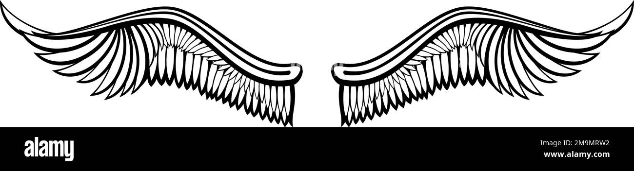 Dessin d'encre des ailes. Plumes d'oiseau tatouage noir Illustration de Vecteur
