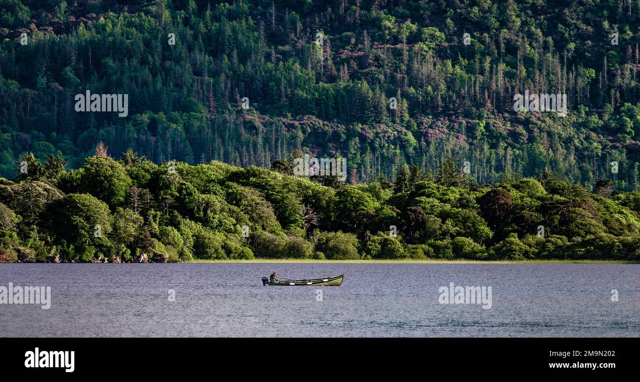 Un pêcheur isolé pêchant dans un Lough Leane à partir d'un bateau dans le parc national de Killarney, anneau de Kerry, près de la ville de Killarney, comté de Kerry, Irlande Banque D'Images