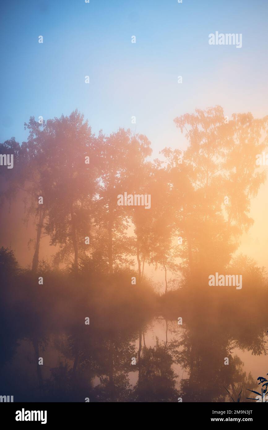 Soleil levant sur le lac brumeux. Photo de haute qualité Banque D'Images