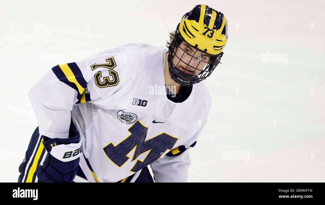 Michigan's Ethan Edwards plays during an NCAA hockey game on Friday, Nov. 25, 2022, in Ann Arbor, Mich. (AP Photo/Al Goldis) Banque D'Images