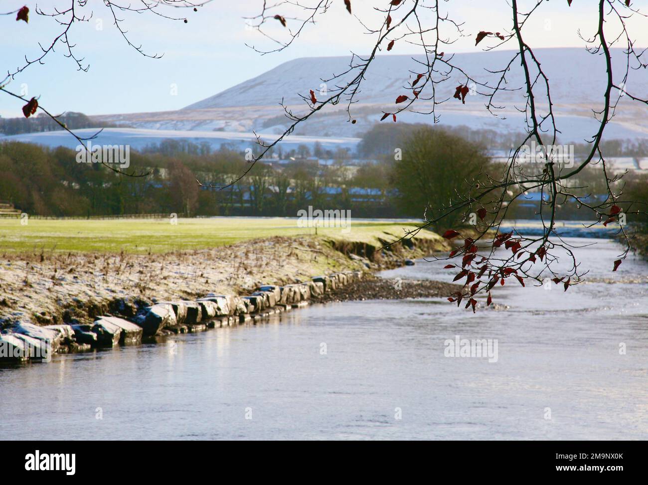 Une vue sur Pendle Hill depuis les rives du Ribble à Sawley, Clitheroe, Lancashire, Royaume-Uni, Europe Banque D'Images