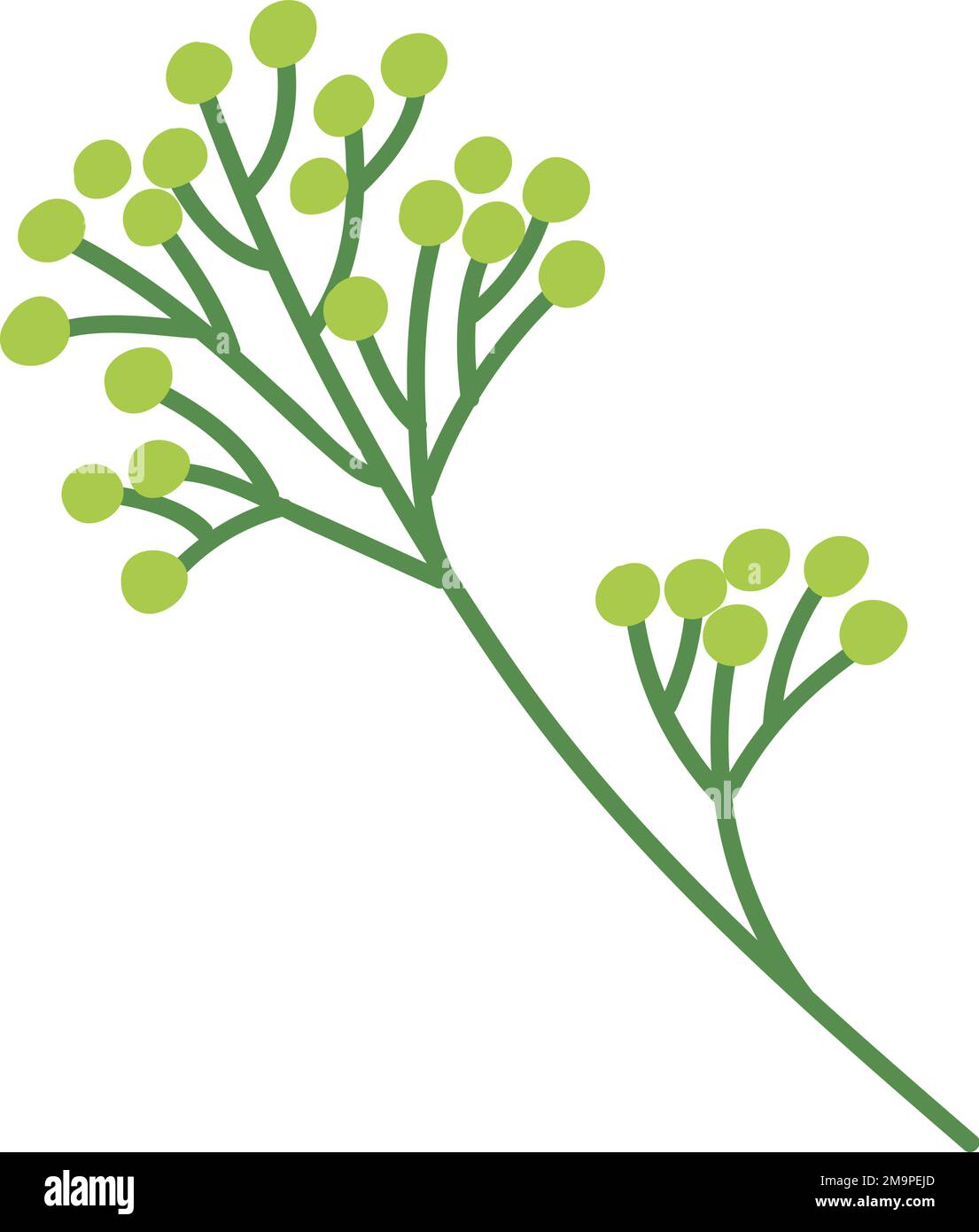 Branche en fleurs. Élément botanique décoratif. Imprimé fleuri Illustration de Vecteur