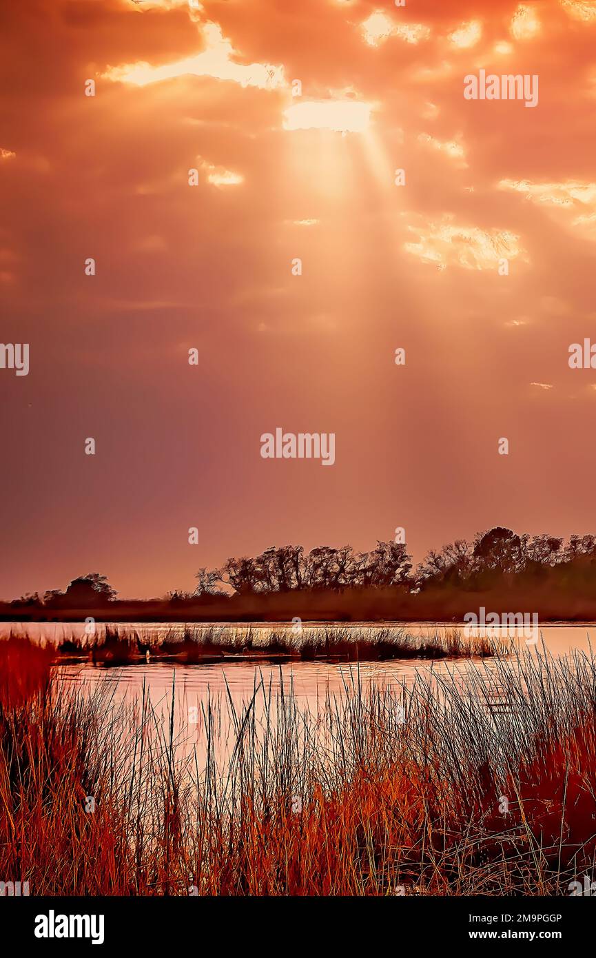 Le soleil se couche sur l'herbe des marais, le 17 janvier 2023, à Bayou la Batre, Alabama. Les zones humides côtières de la région servent d'habitat écologiquement important. Banque D'Images