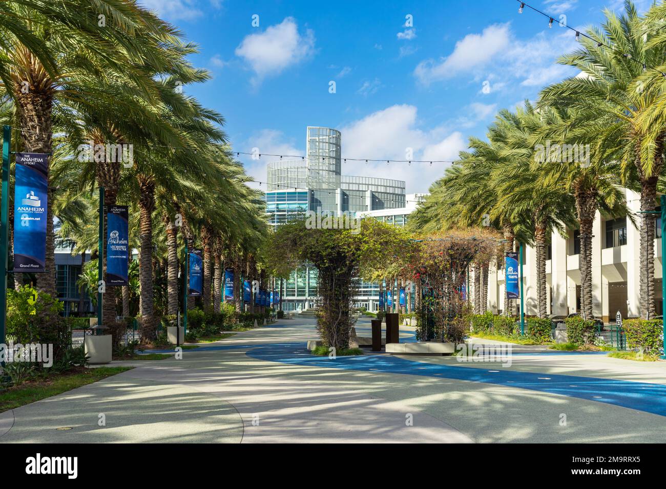 Anaheim, CA, États-Unis – 1 novembre 2022 : promenade à pied avec palmiers, le centre de congrès d'Anaheim à Anaheim, Californie. Banque D'Images