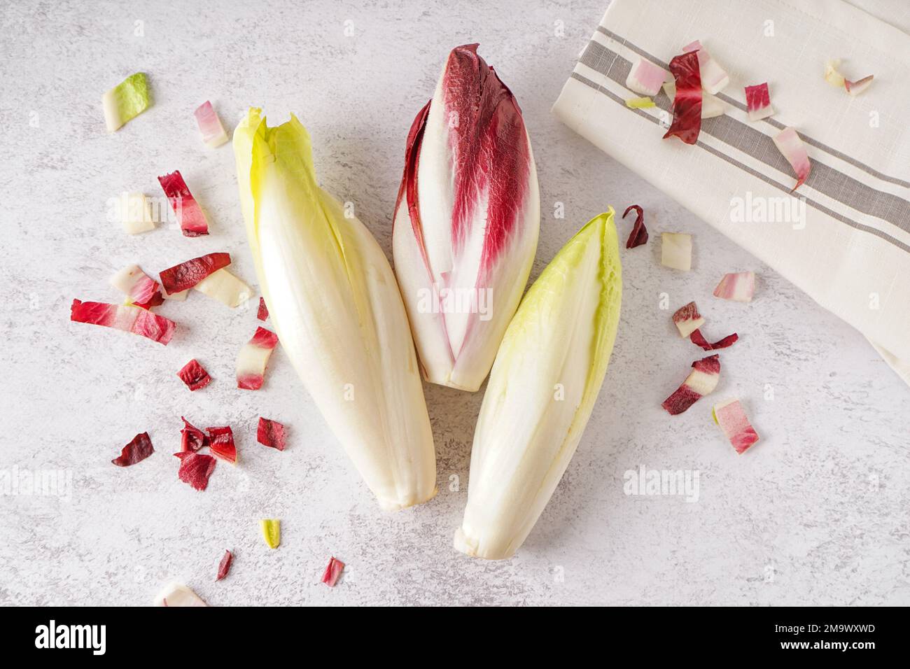 Des petits pains d'endives fraîches sur fond clair Banque D'Images