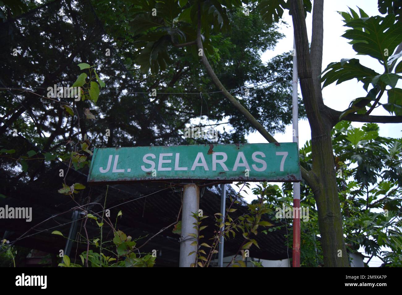 Portrait d'un panneau de rue avec vert vif qui lit 'JL. SELARAS 7', avec des arbres en arrière-plan. Banque D'Images