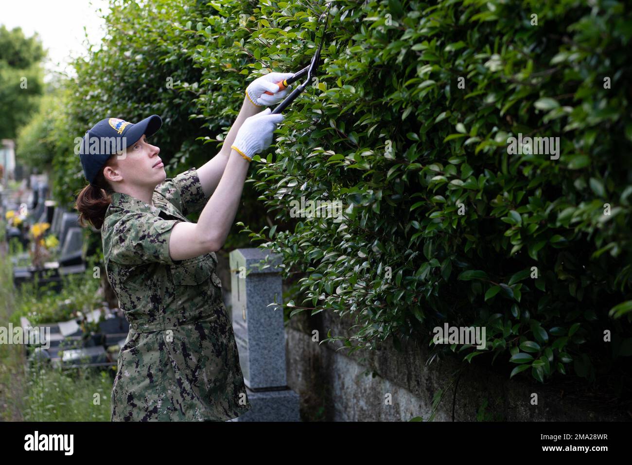 YOKOHAMA, Japon (24 mai 2022) Aviation Boatswain's Mate (Handling) Jessica Harlan est volontaire lors d'un événement de nettoyage au cimetière général étranger de Yokohama. Commandant, activités de la flotte le détachement Ikego de Yokosuka (CFAY) a organisé une activité bénévole pour aider à l'entretien du cimetière général étranger de Yokohama. Depuis 75 ans, la CFAY fournit, entretient et exploite des installations et des services de base à l'appui des forces navales déployées par l'avant de la flotte américaine 7th, des commandements de locataires, et des milliers de militaires et civils et de leurs familles. Banque D'Images