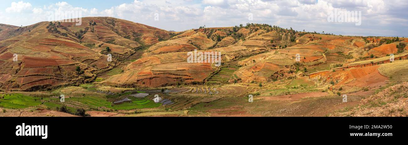 Paysage dévasté du centre de Madagascar, Betafo, Vakinancaratra. Campagne boisée des Highlands. La déforestation crée des terres agricoles pastorales mais Banque D'Images