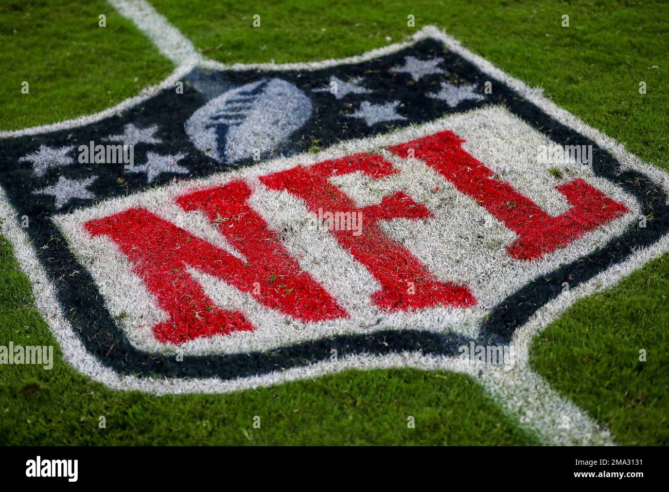 The NFL logo is seen painted on the field during a NFL football game between the Baltimore Ravens and Tampa Bay Buccaneers,Thursday, Oct. 27, 2022 in Tampa, Fla. (AP Photo/Alex Menendez) Banque D'Images