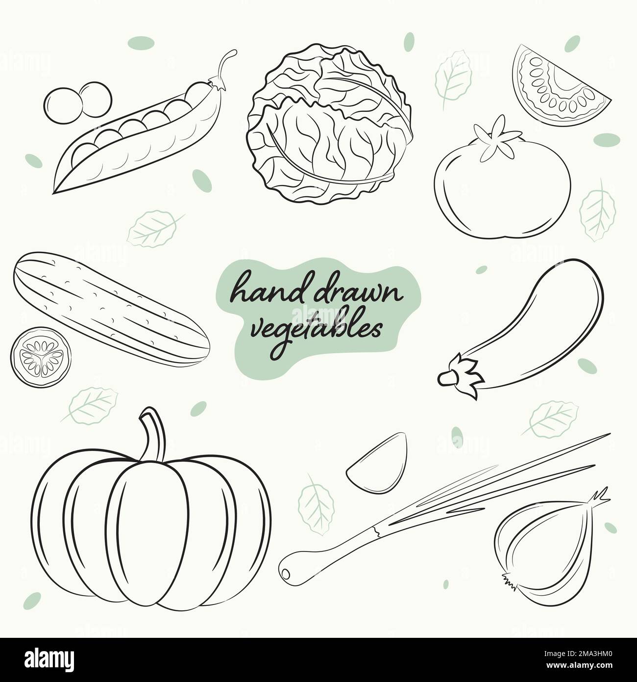 une série d'images de légumes frais dessinés à la main Illustration de Vecteur