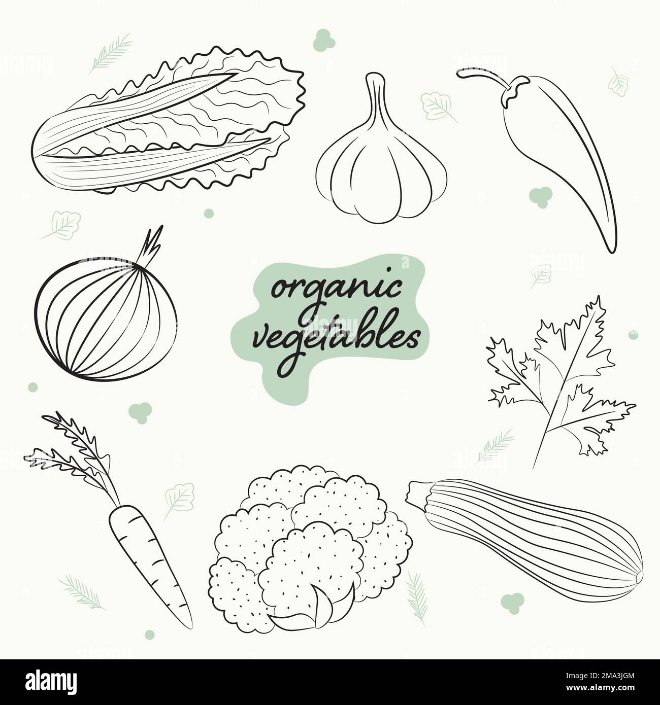 un ensemble de légumes biologiques pour une alimentation saine Illustration de Vecteur