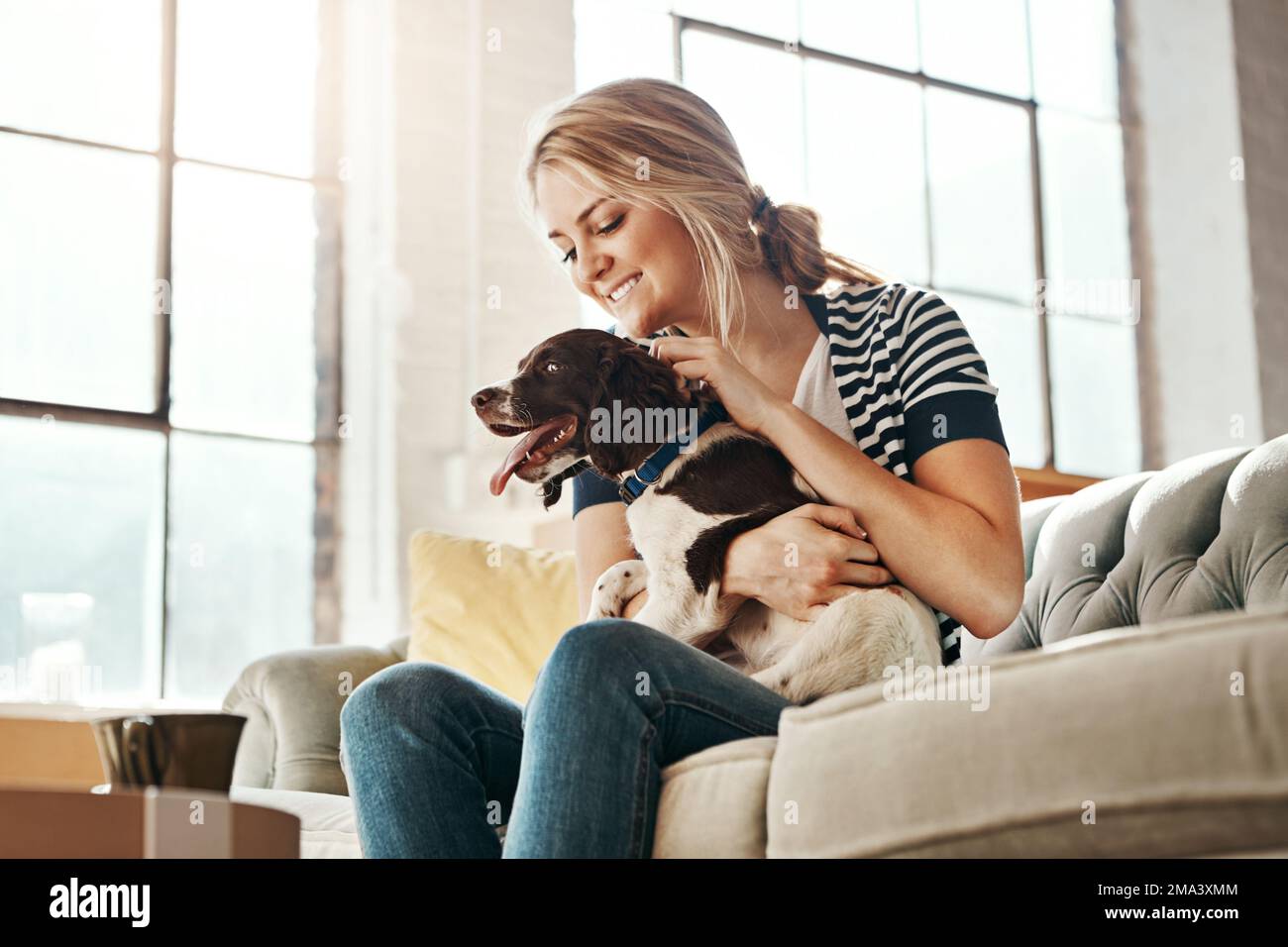 Femme, chien et calme sourire sur le canapé dans la salle de séjour pour le soin des animaux, l'amour et le soutien à la maison. Jeune femme, soin des animaux de compagnie et de détendre la paix sur le canapé, ludique Banque D'Images