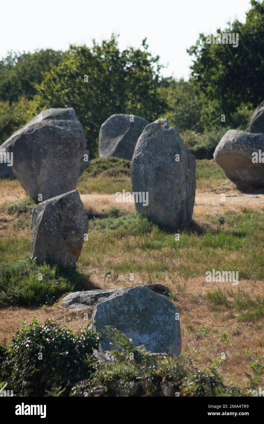 Pierres de Carnac (sites mégalithiques). Alignements le Ménec. Commune de Carnac. Département du Morbihan. Bretagne. France Banque D'Images