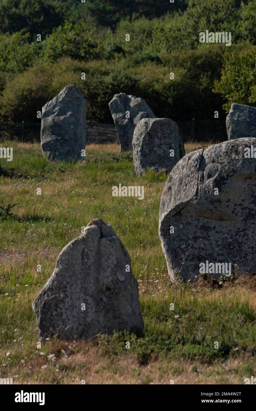 Pierres de Carnac (sites mégalithiques). Alignements le Ménec. Commune de Carnac. Département du Morbihan. Bretagne. France Banque D'Images