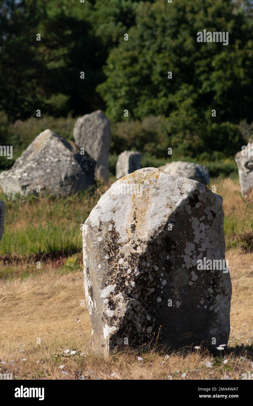 Pierres de Carnac (sites mégalithiques). Alignements le Ménec. Commune de Carnac. Département du Morbihan. Bretagne. France Banque D'Images