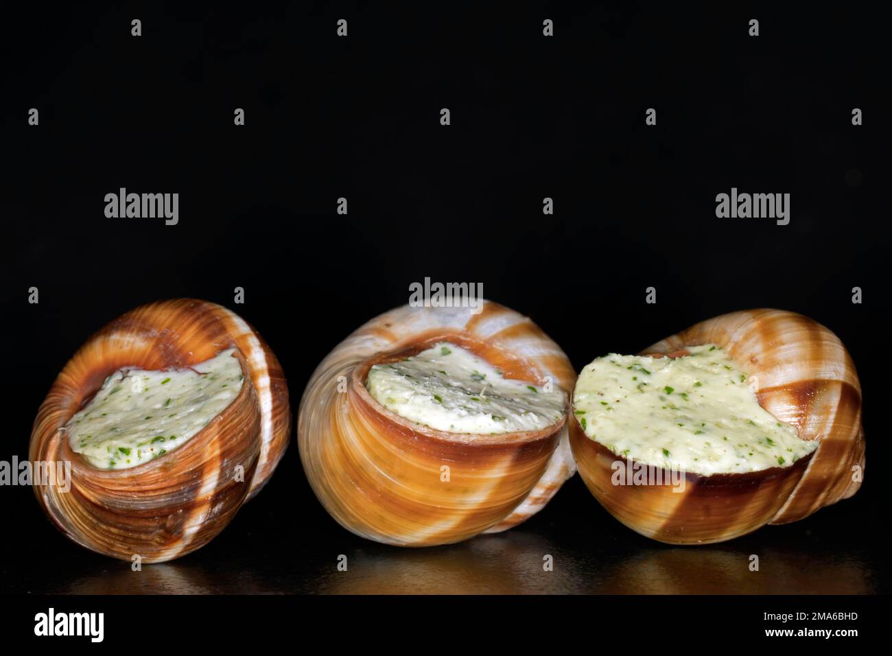 Escargots romains à rayures (Helix lucorum) farcis avec beurre d'ail aux herbes, photographie en studio avec fond noir Banque D'Images