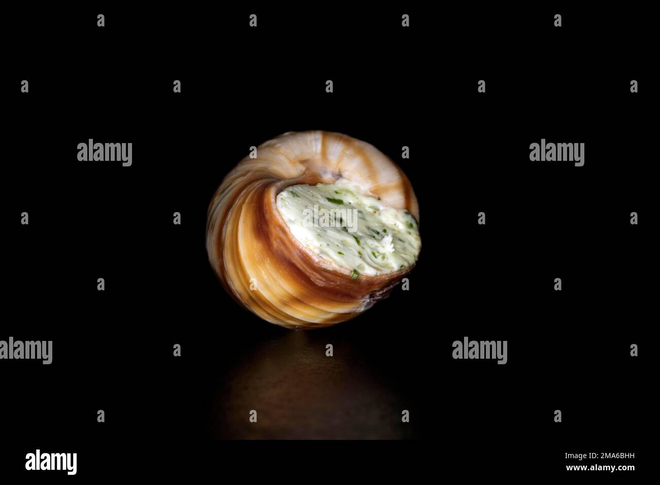 Escargot romain à rayures (Helix lucorum) farci de beurre d'ail aux herbes, photographie en studio avec fond noir Banque D'Images