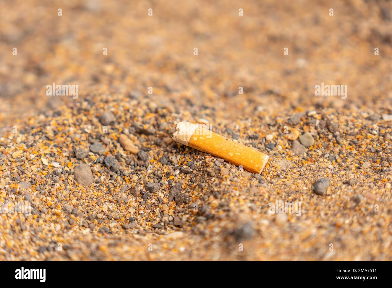 Détail d'une cigarette jetée dans le sable sur la plage, ordures, peu de respect pour la nature Banque D'Images