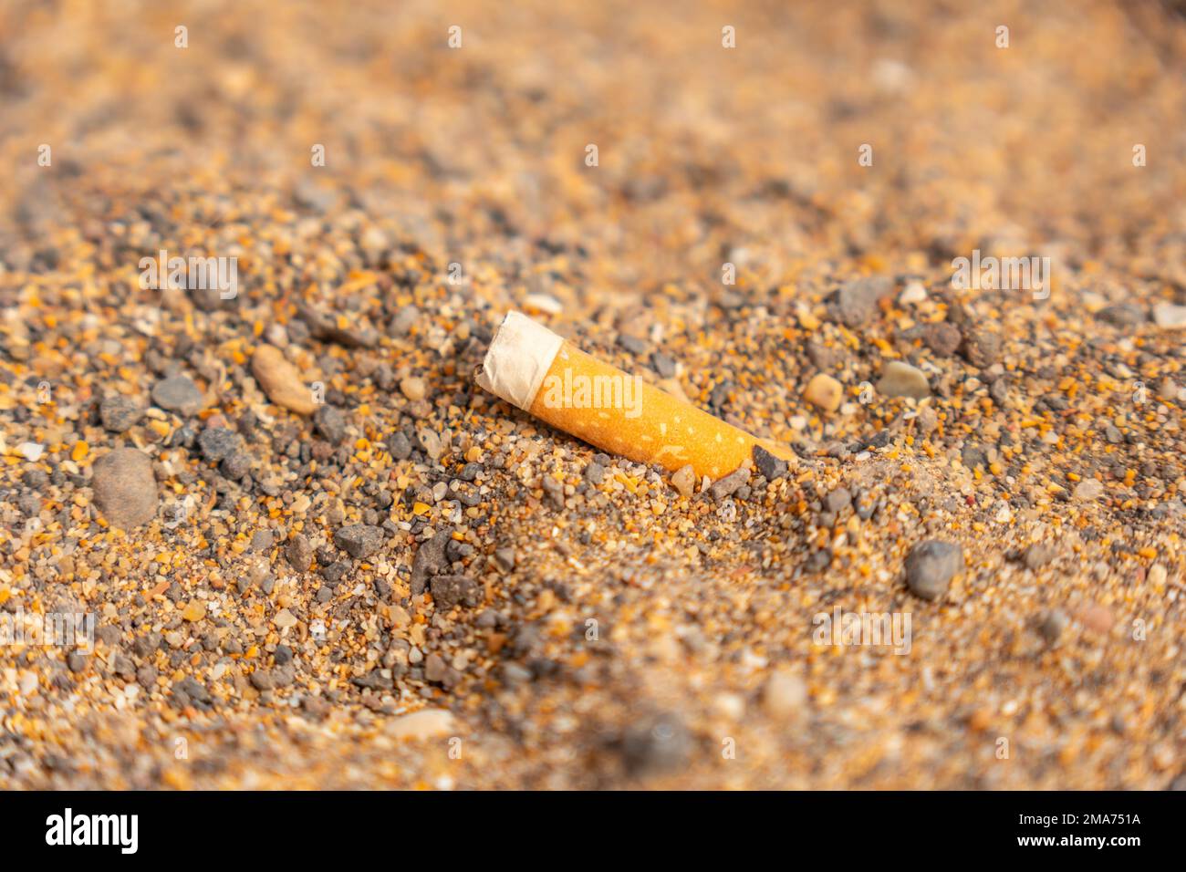 Détail d'une cigarette jetée dans le sable sur la plage, ordures, peu de respect pour la nature Banque D'Images