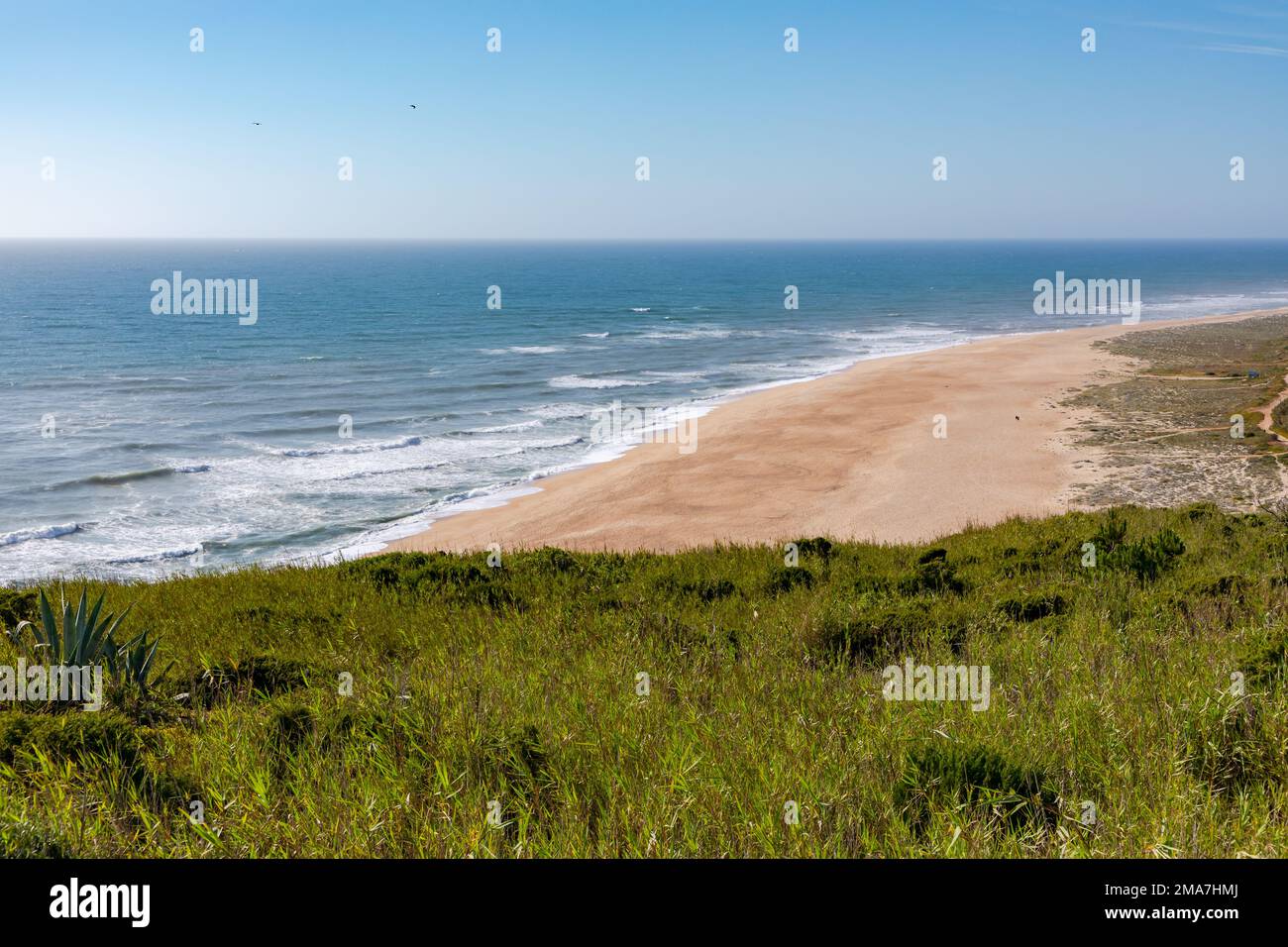 Praia do Norte Beach à Nazaré est un endroit de surf au nord de Lisbonne, Portugal, connu pour ses hautes vagues Banque D'Images