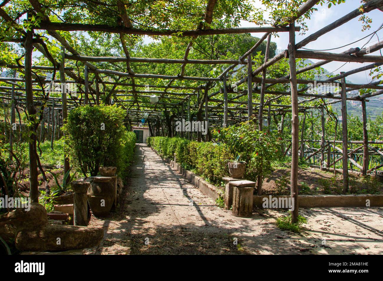 Agriculture traditionnelle en Italie Ravello, Italie - côte amalfitaine Banque D'Images