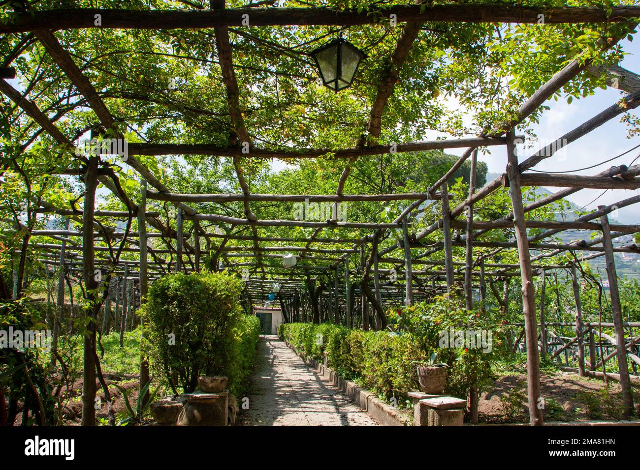 Agriculture traditionnelle en Italie Ravello, Italie - côte amalfitaine Banque D'Images