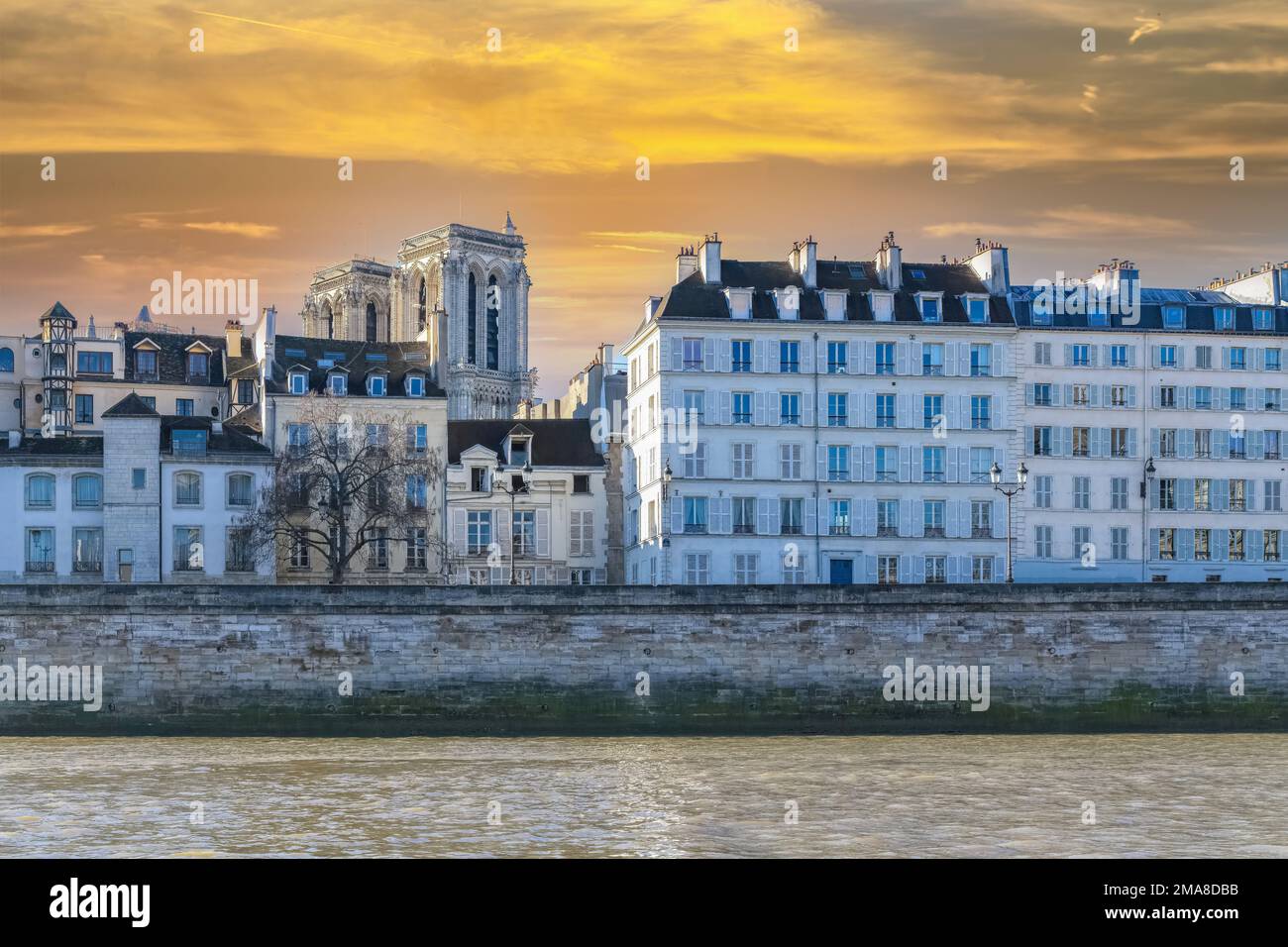 Paris, cathédrale notre-Dame en construction et façades typiques de l'ile de la Cité Banque D'Images