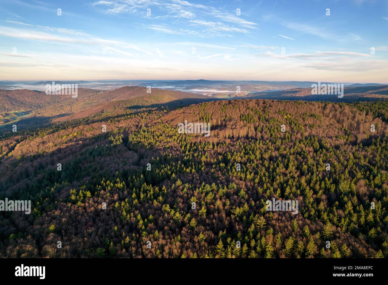 Images de drone de la forêt bavaroise près de Furth im Wald et Gleissenberg Bavière. La croix en verre du point de vue Reiseck peut également être découverte ici. Banque D'Images