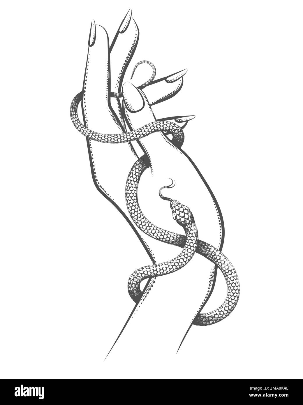 Tatouage de la main femelle avec serpent isolé sur fond blanc. illustration vectorielle. Illustration de Vecteur
