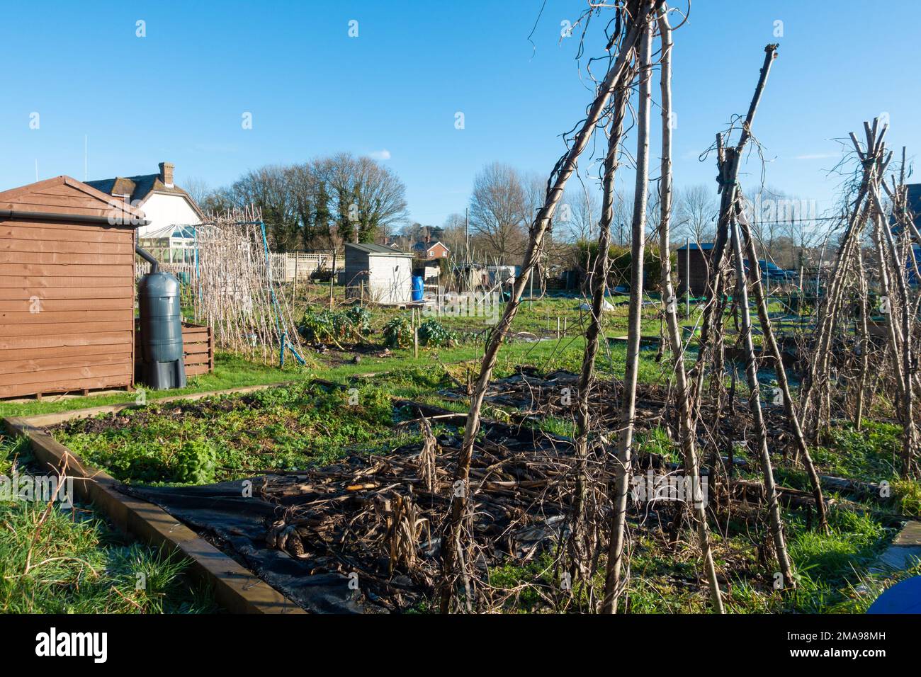 Allotissement en hiver, village de hamstreet, kent, royaume-uni Banque D'Images