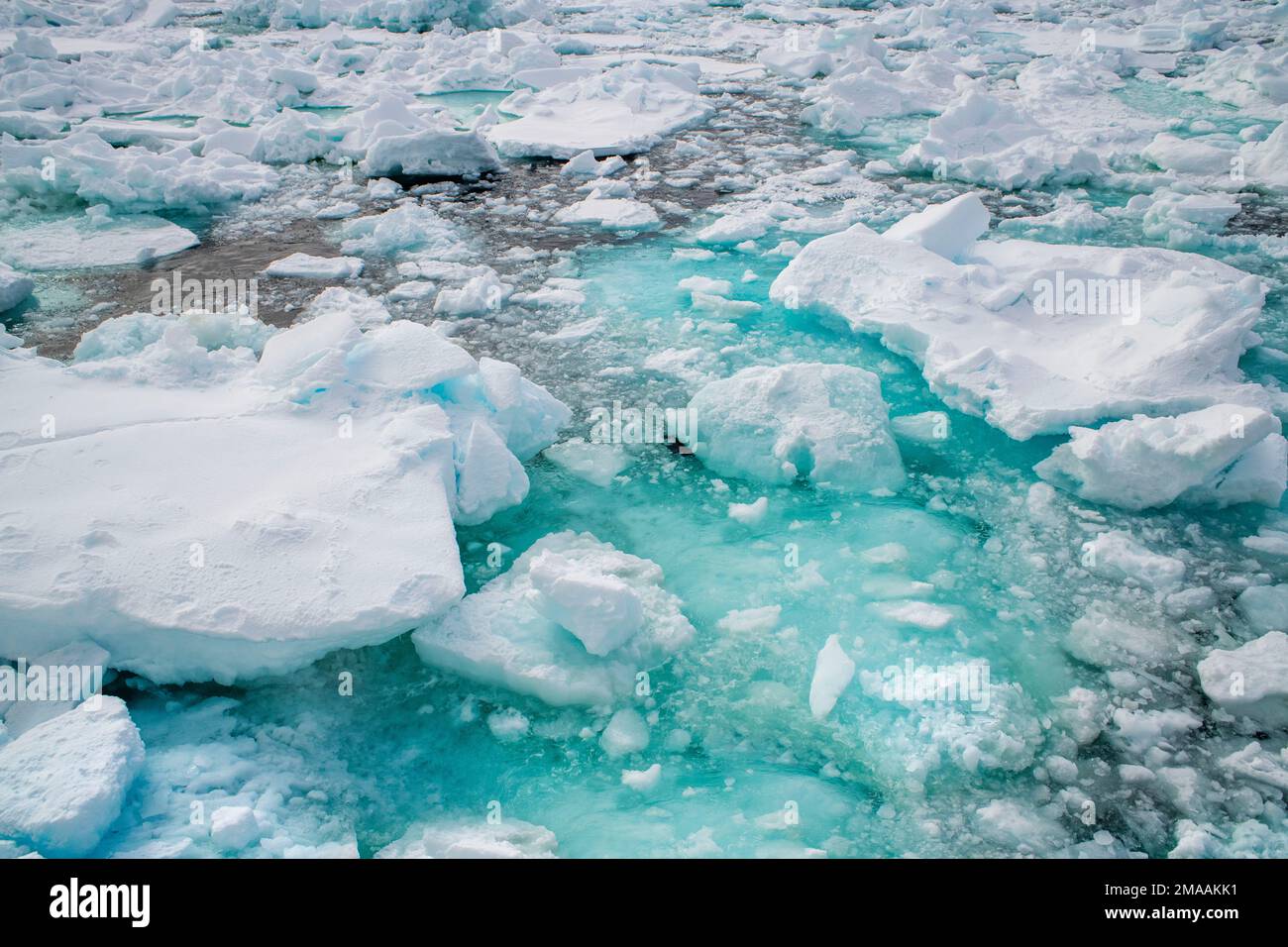 De beaux iceberers à Storoya, Svalbard. Expédition navire de croisière Greg Mortimer dans l'archipel de Svalbard, dans l'Arctique de la Norvège. Storøya est une île dans le S Banque D'Images