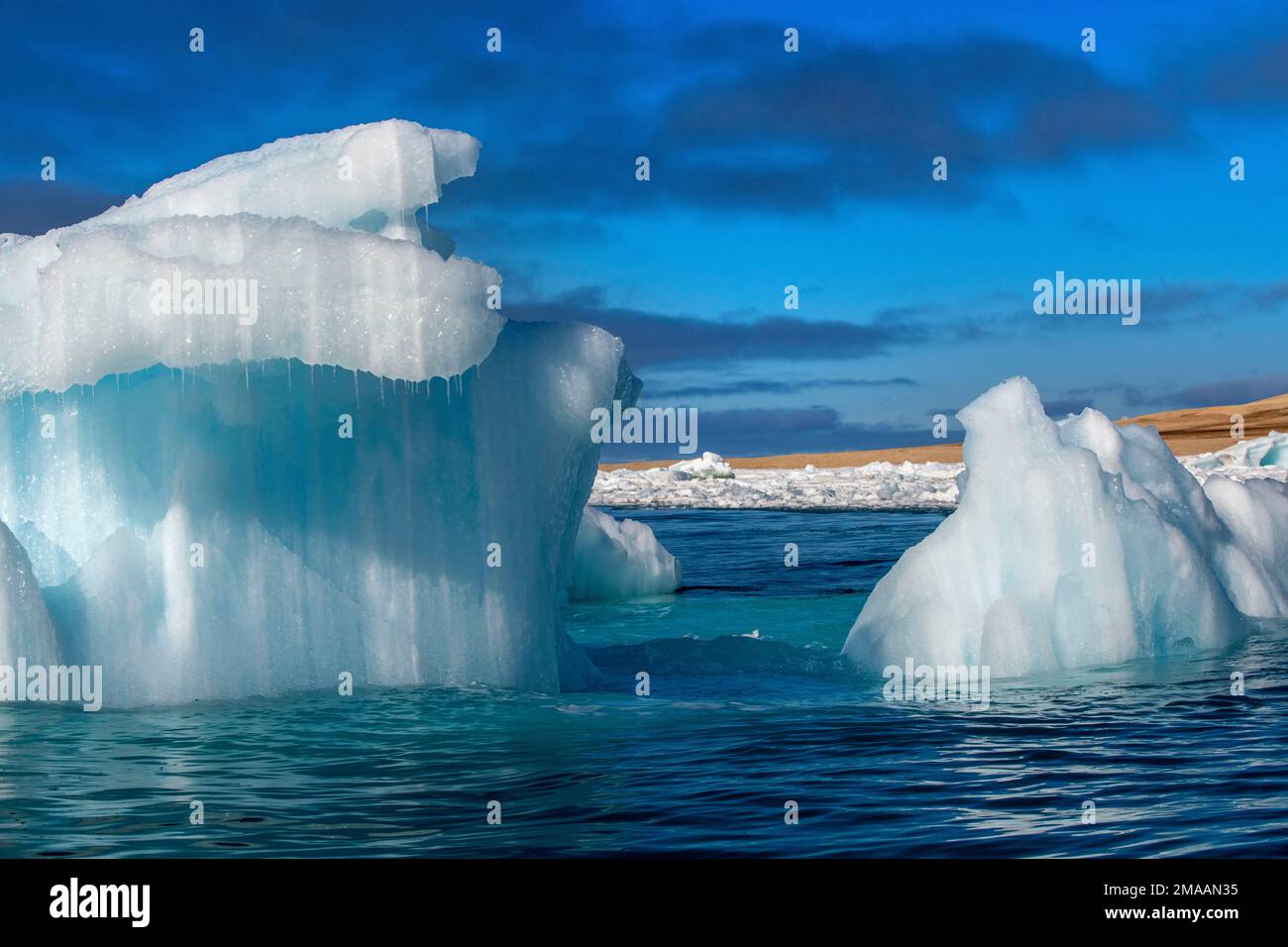 Nice bleu icebers à Torellneset, Svalbard. Expédition navire de croisière Greg Mortimer dans l'archipel de Svalbard, dans l'Arctique de la Norvège. Storøya est une île à t Banque D'Images